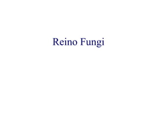 Reino Fungi 
 