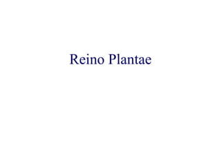 Reino Plantae 
 