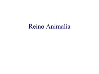 Reino Animalia 
 