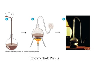 Experimento de Pasteur 
 
