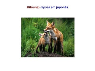 Kitsune) raposa em japonês
 