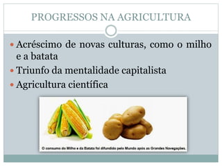 PROGRESSOS NA AGRICULTURA 
 Acréscimo de novas culturas, como o milho 
e a batata 
 Triunfo da mentalidade capitalista 
 Agricultura científica 
 
