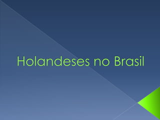Holandeses no Brasil 