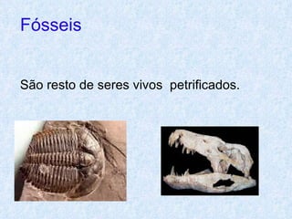 Fósseis   São resto de seres vivos  petrificados.  