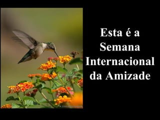 EEssttaa éé aa 
SSeemmaannaa 
IInntteerrnnaacciioonnaall 
ddaa AAmmiizzaaddee 
 