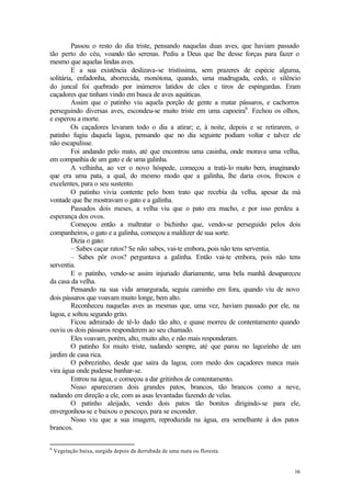 Passou o resto do dia triste, pensando naquelas duas aves, que haviam passado
tão perto do céu, voando tão serenas. Pediu a Deus que lhe desse forças para fazer o
mesmo que aquelas lindas aves.
         E a sua existência deslizava-se tristíssima, sem prazeres de espécie alguma,
solitária, enfadonha, aborrecida, monótona, quando, uma madrugada, cedo, o silêncio
do juncal foi quebrado por inúmeros latidos de cães e tiros de espingardas. Eram
caçadores que tinham vindo em busca de aves aquáticas.
         Assim que o patinho viu aquela porção de gente a matar pássaros, e cachorros
perseguindo diversas aves, escondeu-se muito triste em uma capoeira6 . Fechou os olhos,
e esperou a morte.
         Os caçadores levaram todo o dia a atirar; e, à noite, depois e se retirarem, o
patinho fugiu daquela lagoa, pensando que no dia seguinte podiam voltar e talvez ele
não escapulisse.
         Foi andando pelo mato, até que encontrou uma casinha, onde morava uma velha,
em companhia de um gato e de uma galinha.
         A velhinha, ao ver o novo hóspede, começou a tratá-lo muito bem, imaginando
que era uma pata, a qual, do mesmo modo que a galinha, lhe daria ovos, frescos e
excelentes, para o seu sustento.
         O patinho vivia contente pelo bom trato que recebia da velha, apesar da má
vontade que lhe mostravam o gato e a galinha.
         Passados dois meses, a velha viu que o pato era macho, e por isso perdeu a
esperança dos ovos.
         Começou então a maltratar o bichinho que, vendo-se perseguido pelos dois
companheiros, o gato e a galinha, começou a maldizer de sua sorte.
         Dizia o gato:
         – Sabes caçar ratos? Se não sabes, vai-te embora, pois não tens serventia.
         – Sabes pôr ovos? perguntava a galinha. Então vai-te embora, pois não tens
serventia.
         E o patinho, vendo-se assim injuriado diariamente, uma bela manhã desapareceu
da casa da velha.
         Pensando na sua vida amargurada, seguia caminho em fora, quando viu de novo
dois pássaros que voavam muito longe, bem alto.
         Reconheceu naquelas aves as mesmas que, uma vez, haviam passado por ele, na
lagoa, e soltou segundo grito.
         Ficou admirado de tê-lo dado tão alto, e quase morreu de contentamento quando
ouviu os dois pássaros responderem ao seu chamado.
         Eles voavam, porém, alto, muito alto, e não mais responderam.
         O patinho foi muito triste, nadando sempre, até que parou no lagozinho de um
jardim de casa rica.
         O pobrezinho, desde que saíra da lagoa, com medo dos caçadores nunca mais
vira água onde pudesse banhar-se.
         Entrou na água, e começou a dar gritinhos de contentamento.
         Nisso apareceram dois grandes patos, brancos, tão brancos como a neve,
nadando em direção a ele, com as asas levantadas fazendo de velas.
         O patinho aleijado, vendo dois patos tão bonitos dirigindo-se para ele,
envergonhou-se e baixou o pescoço, para se esconder.
         Nisso viu que a sua imagem, reproduzida na água, era semelhante à dos patos
brancos.

6
    Vegetação baixa, surgida depois da derrubada de uma mata ou floresta.


                                                                                    16
 