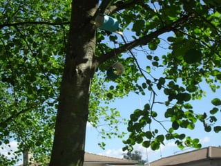 Histórias e atividades