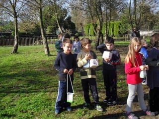 Histórias e atividades