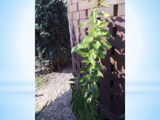 Histórias e atividades