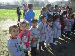 Histórias e atividades