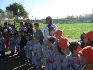 Histórias e atividades