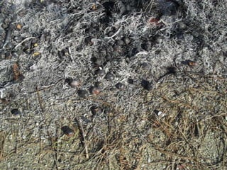 Histórias e atividades