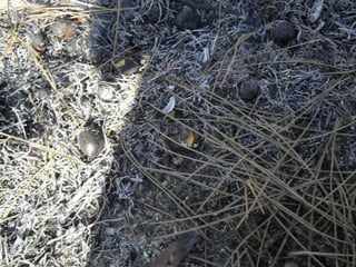 Histórias e atividades