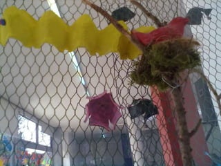 Histórias e atividades