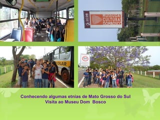 Conhecendo algumas etnias de Mato Grosso do Sul
Visita ao Museu Dom Bosco
 