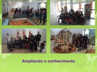 Ampliando o conhecimento
 