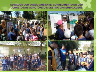 CUIDADOS COM O MEIO AMBIENTE, CONHECIMENTO DO USO
CORRETO DOS AGROTÓXICO E DESTINO DAS EMBALAGENS
 