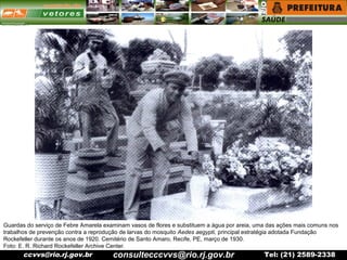 ccvvs@rio.rj.gov.br Tel: (21) 2589-2338
Guardas do serviço de Febre Amarela examinam vasos de flores e substituem a água por areia, uma das ações mais comuns nos
trabalhos de prevenção contra a reprodução de larvas do mosquito Aedes aegypti, principal estratégia adotada Fundação
Rockefeller durante os anos de 1920. Cemitério de Santo Amaro, Recife, PE, março de 1930.
Foto: E. R. Richard Rockefeller Archive Center.
consultecccvvs@rio.rj.gov.br
 