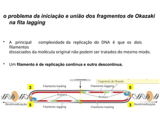 o problema da iniciação e união dos fragmentos de Okazaki
na fita lagging
• A principal complexidade da replicação do DNA é que os dois
filamentos
dissociados da molécula original não podem ser tratados do mesmo modo.
• Um filamento é de replicação contínua e outro descontínua.
5
3
5 3
 