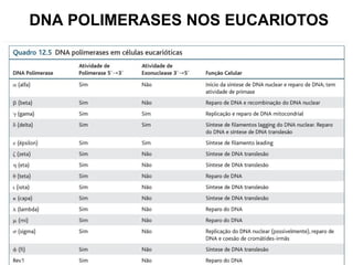 DNA POLIMERASES NOS EUCARIOTOS
 