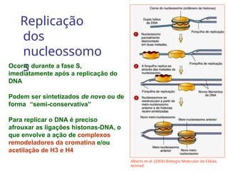 Replicação
dos
nucleossomo
s
Ocorre durante a fase S,
imediatamente após a replicação do
DNA
Podem ser sintetizados de novo ou de
forma “semi-conservativa”
Para replicar o DNA é preciso
afrouxar as ligações histonas-DNA, o
que envolve a ação de complexos
remodeladores da cromatina e/ou
acetilação de H3 e H4
Alberts et al. (2004) Biologia Molecular da Célula,
Artmed
 