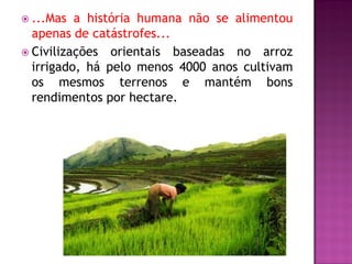 Histórico sobre o início da agricultura | PDF