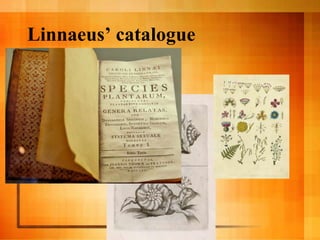 Histslides3