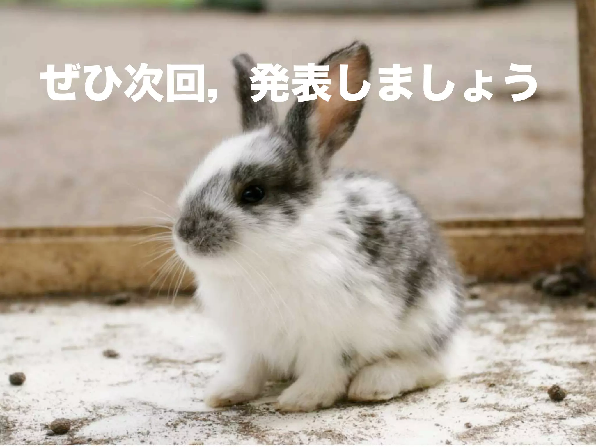 ぜひ次回，発表しましょう
 