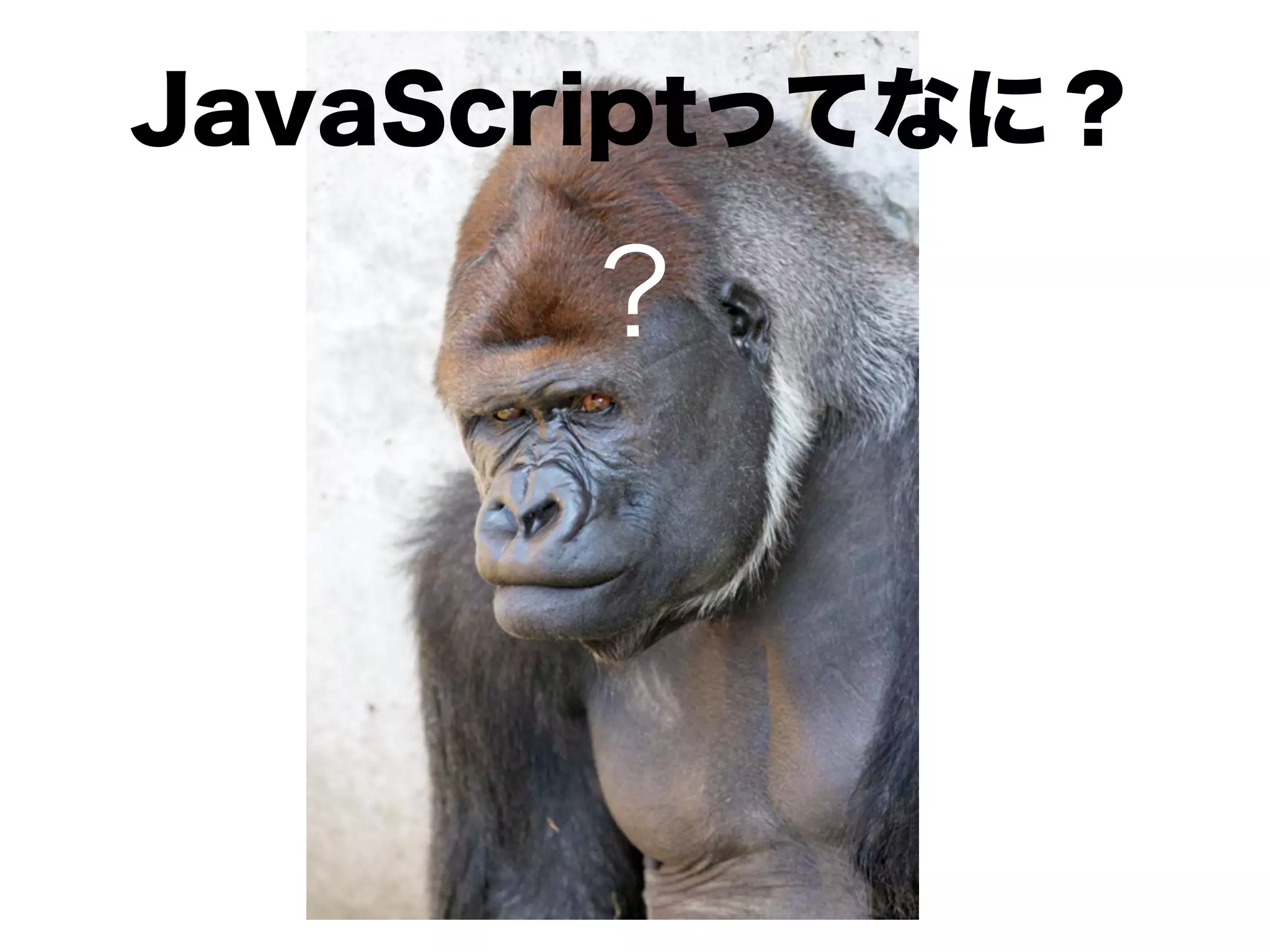 JavaScriptってなに？

      ?
 