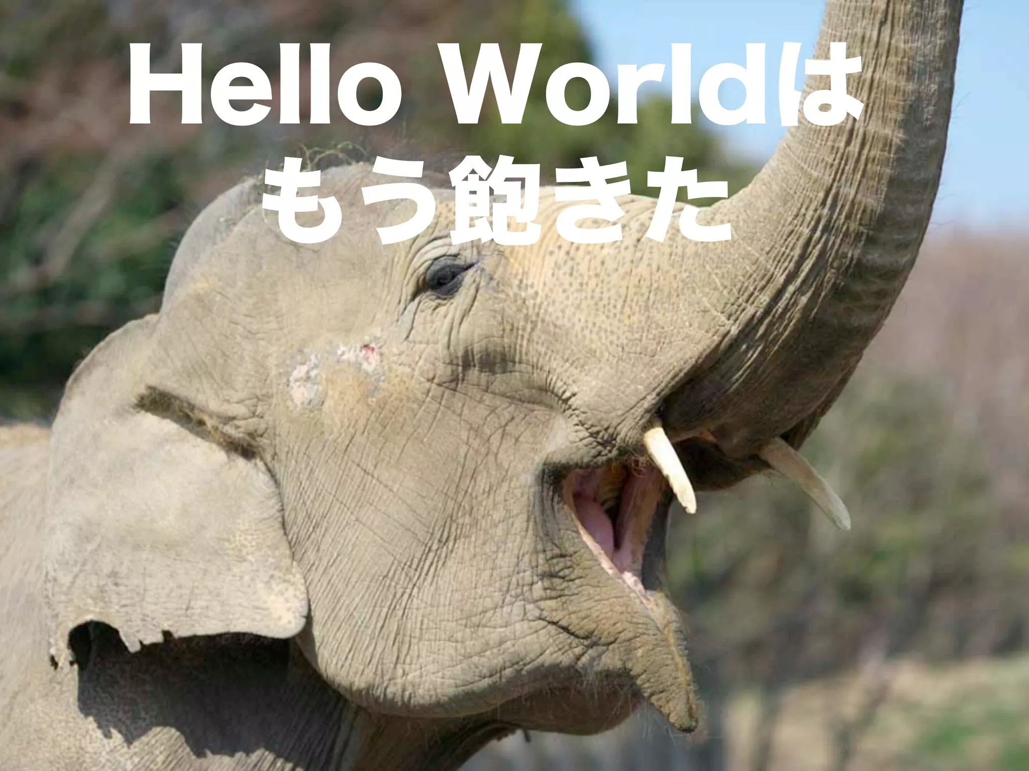 Hello Worldは
  もう飽きた
 