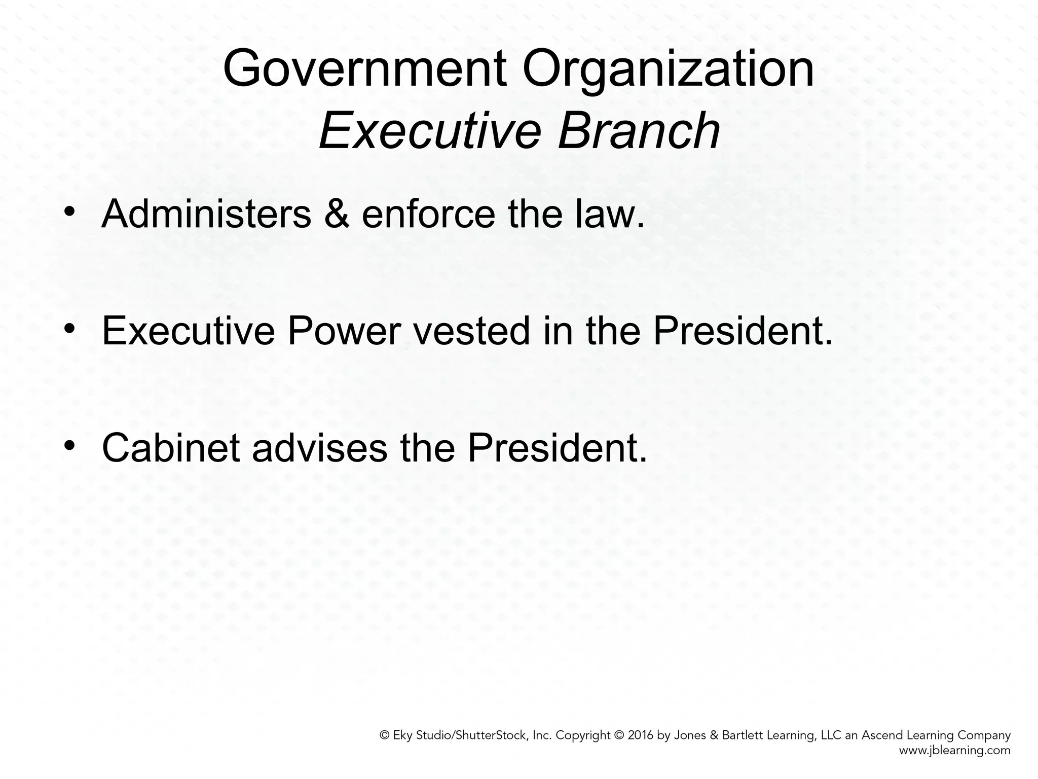 Government Organization
Executive Branch
• Administers & enforce the law.
• Executive Power vested in the President.
• Cabinet advises the President.
 