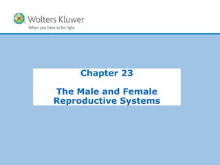 Copyright © 2015 Wolters Kluwer Health | Lippincott Williams & Wilkins
Chapter 23
The Male and Female
Reproductive Systems
 