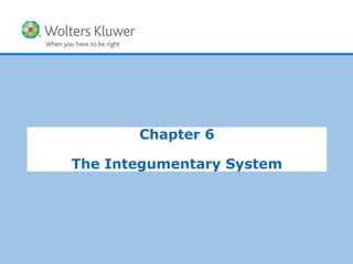 Copyright © 2015 Wolters Kluwer Health | Lippincott Williams & Wilkins
Chapter 6
The Integumentary System
 
