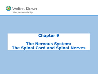 Copyright © 2015 Wolters Kluwer Health | Lippincott Williams & Wilkins
Chapter 9
The Nervous System:
The Spinal Cord and Spinal Nerves
 