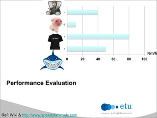 Performance Evaluation
0 20 40 60 80 100
Shark
Impala
PIG
Elephant
Km/h
Ref: Wiki & http://www.speedofanimals.com
 