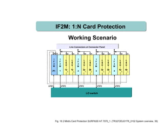 I
F
2
M
1
L
S
U
1a
L
S
U
1b
L
S
U
2a
L
S
U
2b
L
S
U
3a
L
S
U
3b
L
S
U
4a
L
S
U
4b
Line Connectors at Connector Panel
LO switch
32 31
63
UTIF2 UTIF2 UTIF2 UTIF2UTIF2
31 32 32
63
32 32
63
31 31 31
63
I
F
2
M
2
I
F
2
M
3
I
F
2
M
4
I
F
2
M
(P)
IF2M: 32:N Card ProtectionIF2M: 1:N Card Protection
Working Scenario
Fig. 18 2 Mbit/s Card Protection SURPASS hiT 7070_1. (TR3272EU01TR_0102 System overview, 39)
 