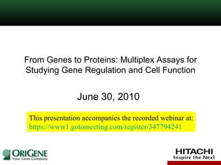 From Genes to Proteins: Multiplex Assays for Studying Gene Regulation and Cell Function June 30, 2010 This presentation accompanies the recorded webinar at: https://www1.gotomeeting.com/register/347794241 