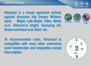 Qualities Of Hitalaxyl
Hitalaxyl is a broad spectrum activity
against diseases like Downy Mildew,
Early Blight, Late Blight, Tikka, White
rust, Alternaria blight, Damping off,
Brownandblack rust,Blast, etc
At recommended rates, Hitalaxyl is
compatible with most other commonly
used insecticides and fungicides except
lime sulphur.
Alternaria
blight
Late BlightDowny Mildew
 