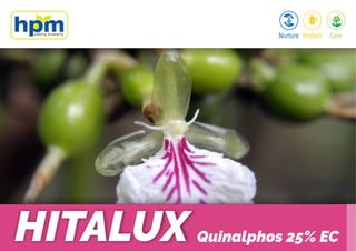 Quinalphos 25% ECHITALUX
 
