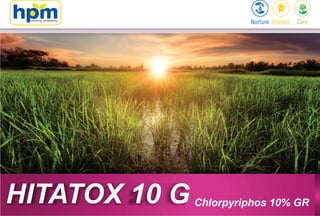 Chlorpyriphos 10% GRHITATOX 10 G
 