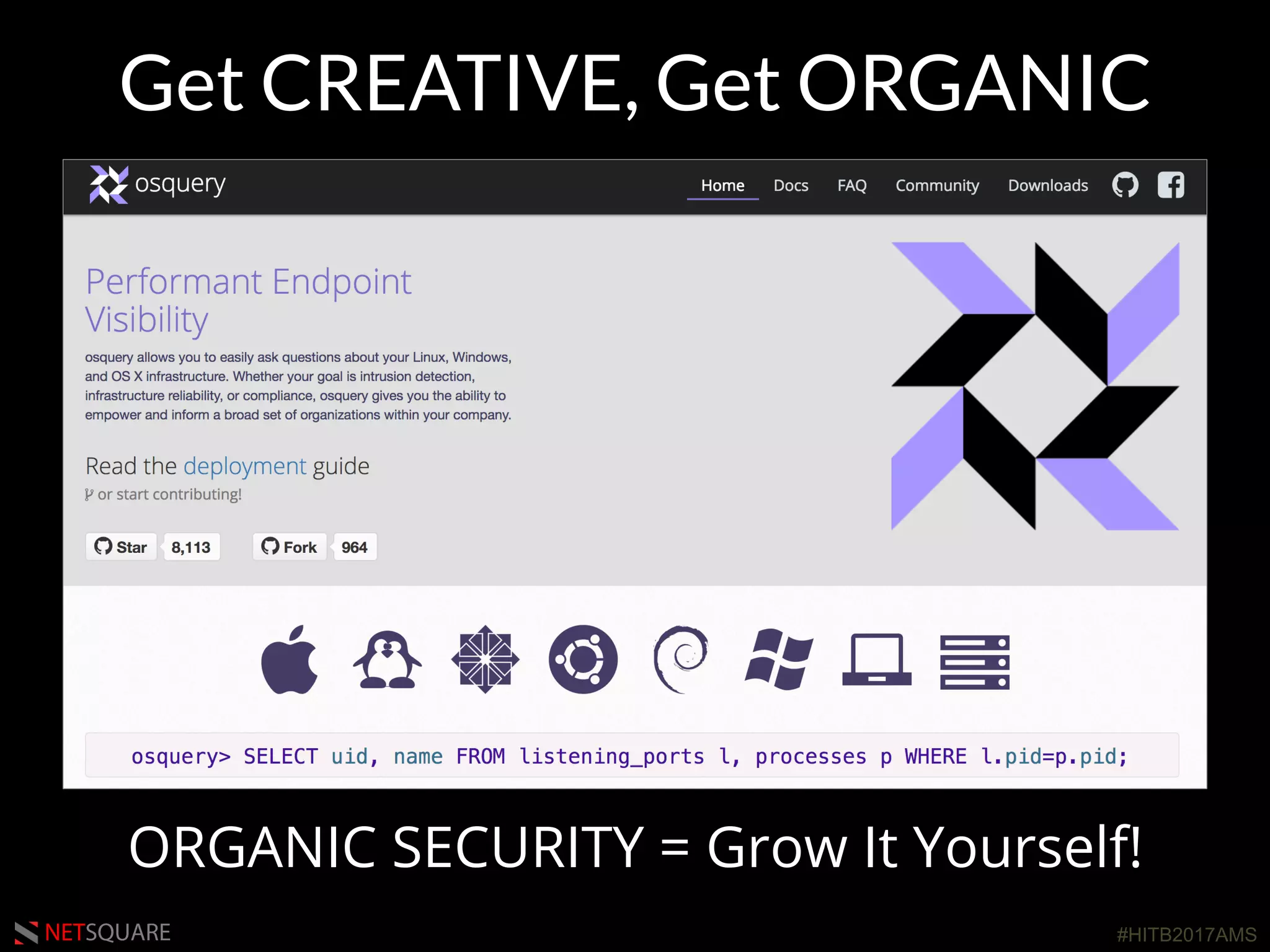#HITB2017AMSNETSQUARE
Get CREATIVE, Get ORGANIC
ORGANIC SECURITY = Grow It Yourself!
 