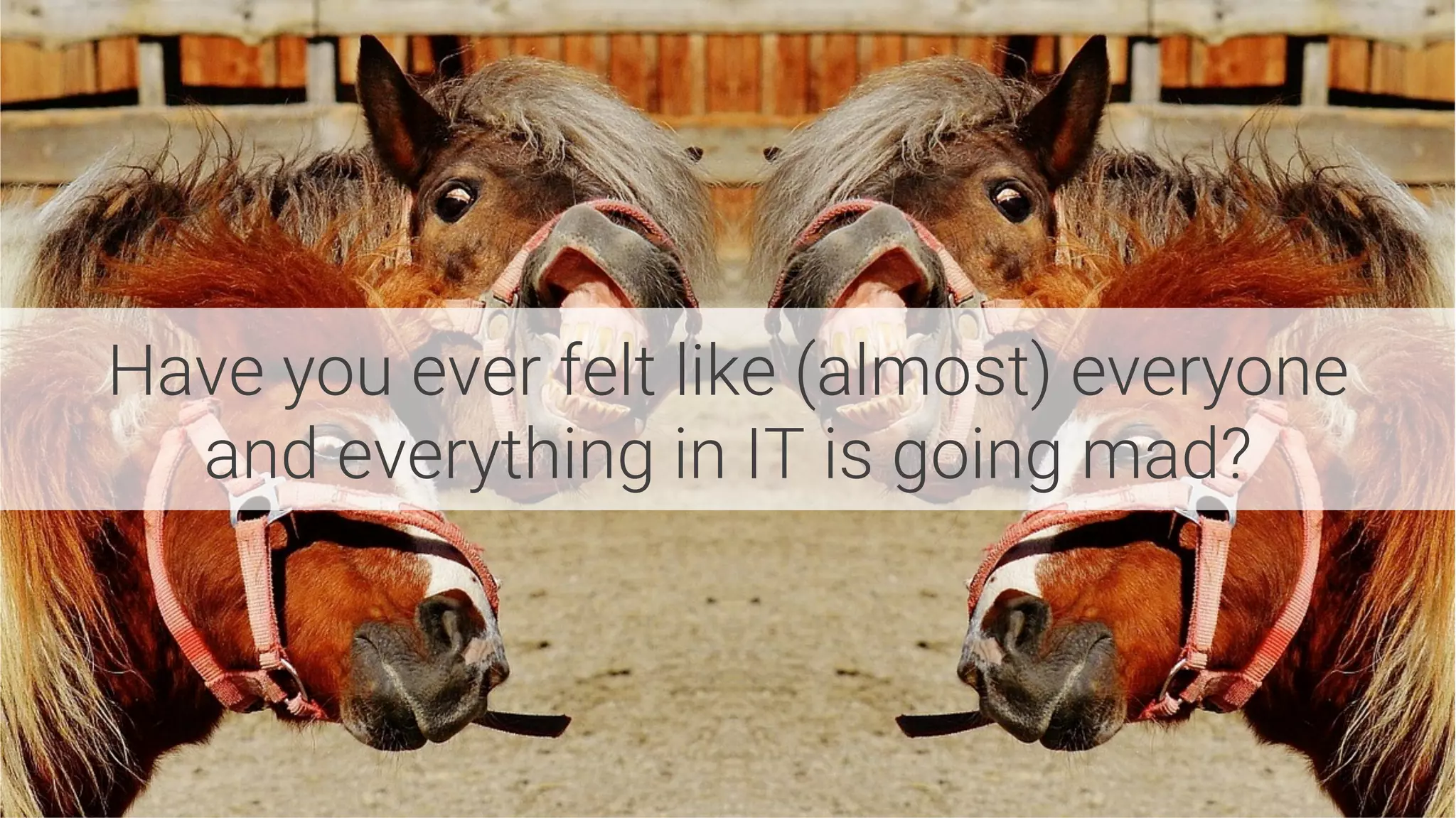 Have you ever felt like (almost) everyone
and everything in IT is going mad?
 