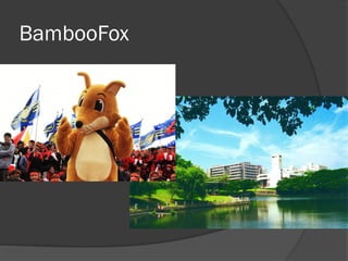 BambooFox
 
