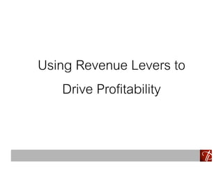 Using Revenue Levers to
Drive Profitability
 
