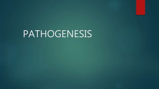 PATHOGENESIS
 