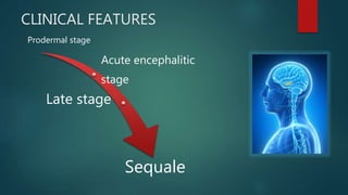 CLINICAL FEATURES
Prodermal stage
Acute encephalitic
stage
Late stage
Sequale
 