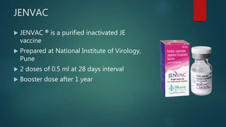 JENVAC
 JENVAC ® is a purified inactivated JE
vaccine
 Prepared at National Institute of Virology,
Pune
 2 doses of 0.5 ml at 28 days interval
 Booster dose after 1 year
 