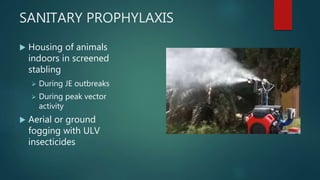 SANITARY PROPHYLAXIS
 Housing of animals
indoors in screened
stabling
 During JE outbreaks
 During peak vector
activity
 Aerial or ground
fogging with ULV
insecticides
 