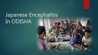 Japanese Encephalitis
In ODISHA
 