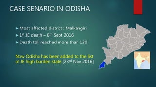 CASE SENARIO IN ODISHA
 Most affected district : Malkangiri
 1st JE death – 8th Sept 2016
 Death toll reached more than 130
Now Odisha has been added to the list
of JE high burden state [23rd Nov 2016]
 